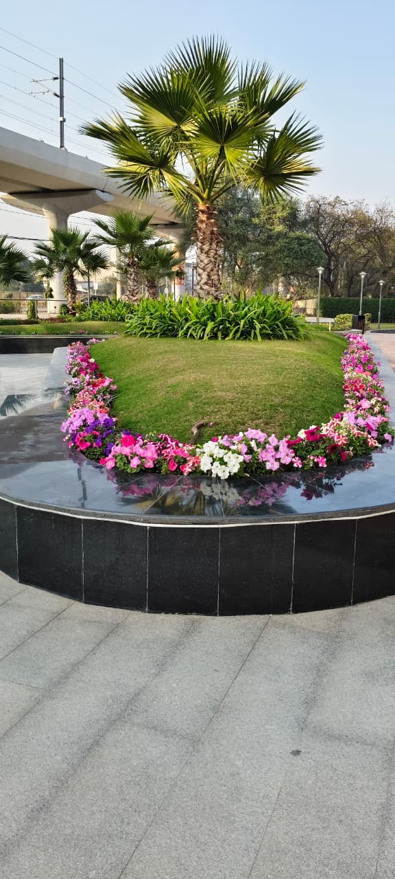  public park or roadside garden